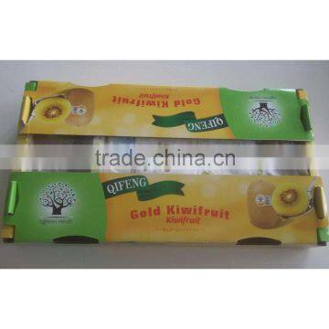 Fresh Gold Kiwi photo-2