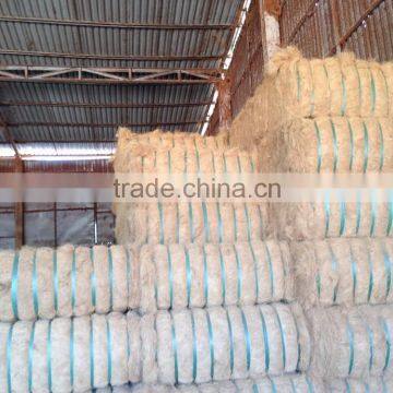 Coconut Fiber High Quality (QQ : 2598494113) photo-3