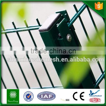 Direct Factory Powder Coated Weld Double Wire Garden Fence