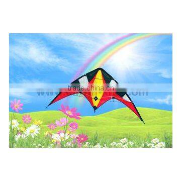 Dual Line Delta Stunt Kites - Curved Edge Kites