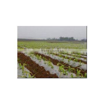 PE Mulch Film