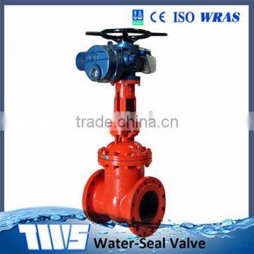 DN 65-DN300 ASTM A216 PN25 Resilient Seated Gate valve