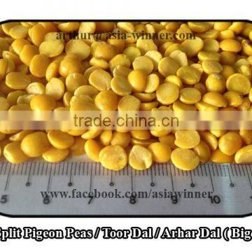 Toor Dal / Split Pigeon Peas / Arhar Dal / Cajanus Cajan (Red Ruby) photo-2
