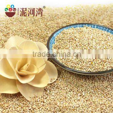 White Broomcore Millet With Reasonable Price 2016 Crop photo-3