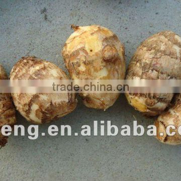 2014 New Crop China Fresh Taro Low Price High Quality