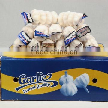 High Quality Natural white Bulk fresh garlic