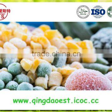 Chinese Best quality frozen mixed vegetables PRODUCTS for sale/ ISO 9001