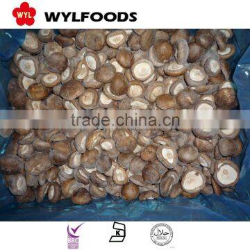 High Quality Frozen Shiitake Mushroom photo-2