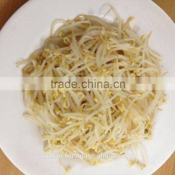 Pickled green mung bean sprout root