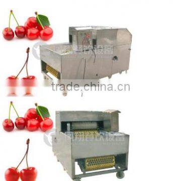 2016 Industrial Hot-sale Plum Stoner Processing Machine photo-6