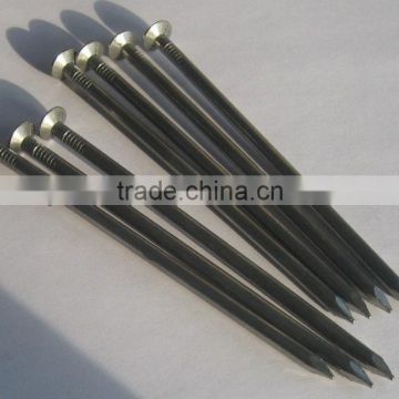 high quality 1'' 1.5" 2" 2.5" 3" 4" 5" Common nail with factory price