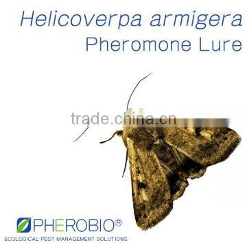 Pheromone Lure for Helicoverpa Armigera (Cotton Bollworm), Pheromone Attractant