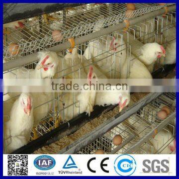 High quality A type 3 tiers 4 tiers chicken layer cage