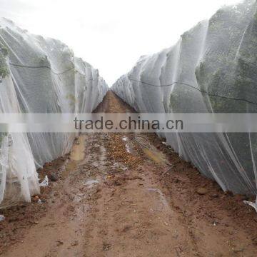 Hdpe New Material Anti Bird Netting for Sale photo-2