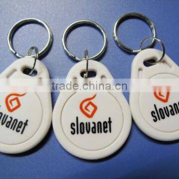 125KHz EM4100 Colorful RFID Keychain Tag/RFID Key Fobs for Access Control System