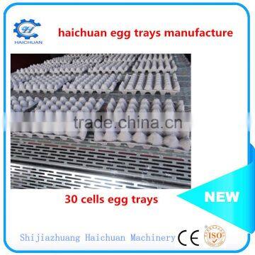 Making Machine Egg Tray Cartons Egg Tray Making Machine in Japan photo-2