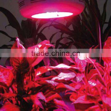 LED Grow Light photo-6