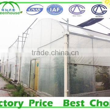 Tomato Tunnel Greenhouse