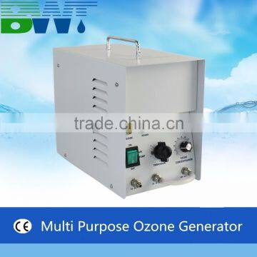 1 g/h water purifier ozone sterilization water purifier machine price for clean