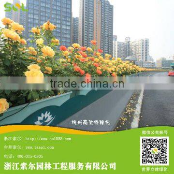 Landscape Cheap high quality composite plastic road and street planter box