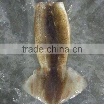 Zhengyuan Frozen Illex Squid Tube photo-6