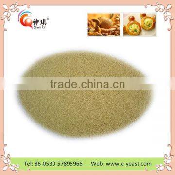 100g Low Sugar Active/instant Dry Yeast Price for Bread photo-2