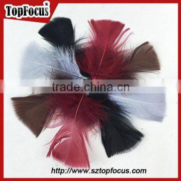 China Cheap Dyed High Filling Power Artificial Flat White Turkey Down Feather photo-5