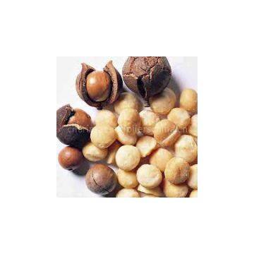 Macadamia nuts