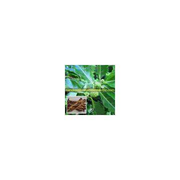 Morinda Officinalis Extract