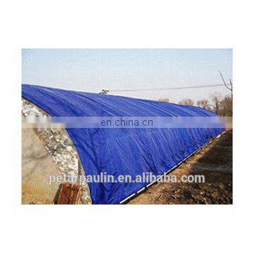 Blue/Orange or Double Blue PE Tarpaulin Sheet in Roll for Indonesia photo-6