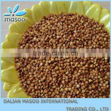 Chinese Red & White Sorghum Groat For Sale A Quality