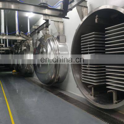 SUS 304 Fruit and Vegetable Lyophil Alimentair Freeze Dry Lyophilization Machine Price photo-5