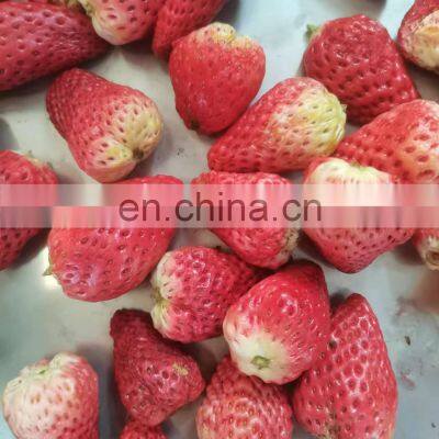 Intelligent Vacuum Freeze Dryer photo-5