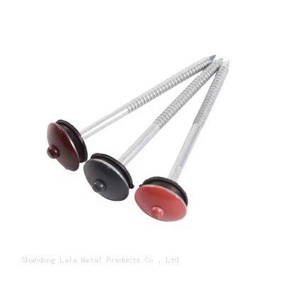 Africa Umbrella Head With Roofing Nails Galvanize Umbrella Head Roofing Nails photo-4