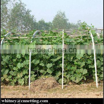 HDPE High quality Cucumber Yam Support Plant Trellis Net