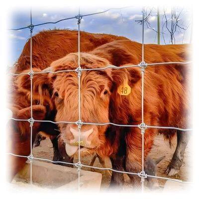 2.0mm Galvanized Steel Wire Fixed Knot Fence, Livestock Fence for Cattle Farm Fencing