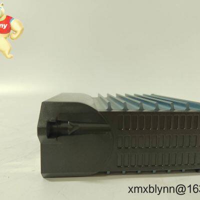 Foxboro P0973CN Expansion Backplane – Expand I/A Series/200 Series I/O Capacity With Clean, Redundant Distribution photo-2