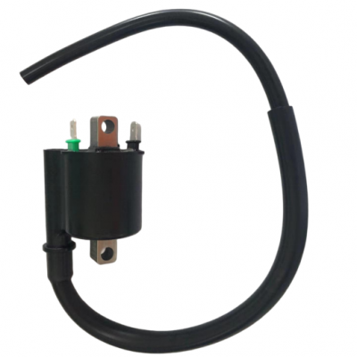 Ignition Coil (EW-5916)