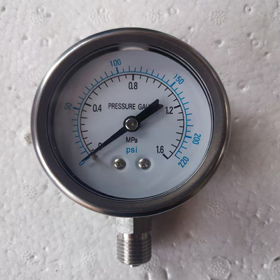 Mechanical pressure gauge, no power supply required, on-site pointer display