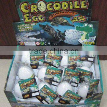 Growing Hatching Crocodile Egg Toy