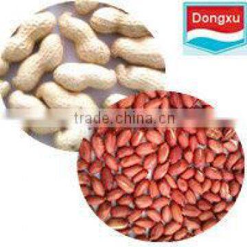 brand red peanut in shell