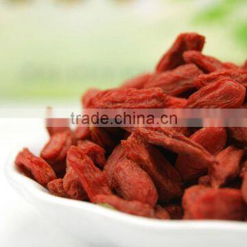 2014 Ningxia Goji photo-3