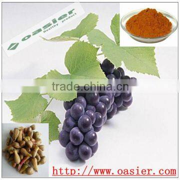 Natural grape seeds extract opc