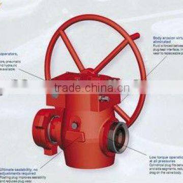 Fluid control products, plug valves