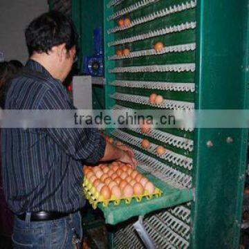 automatic chicken egg collecting machine