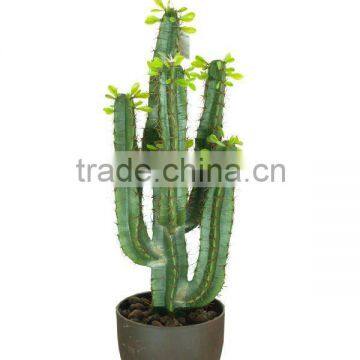 Artificial cactus 1439