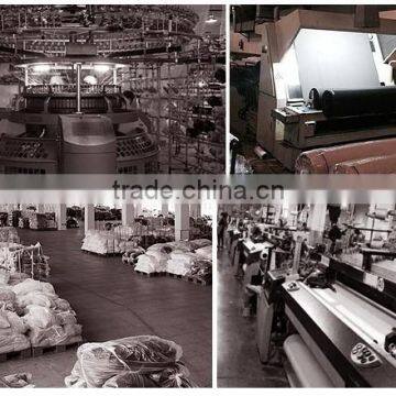 100% Polyester Fashion Fabric in 2015 for Women Dress photo-6