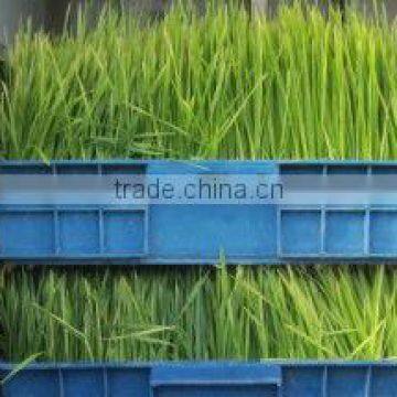 2013 New Brand Organic Fodder Machine