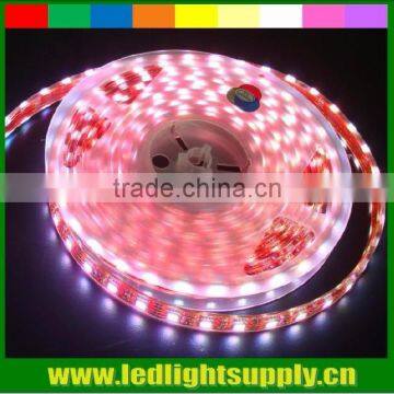 30led/m 2.4w/m IP33 IP65 IP68 low voltage 3528 led pixel tape