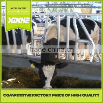 Cheap and fine Cattle headlock for dairy farms,livestock farm